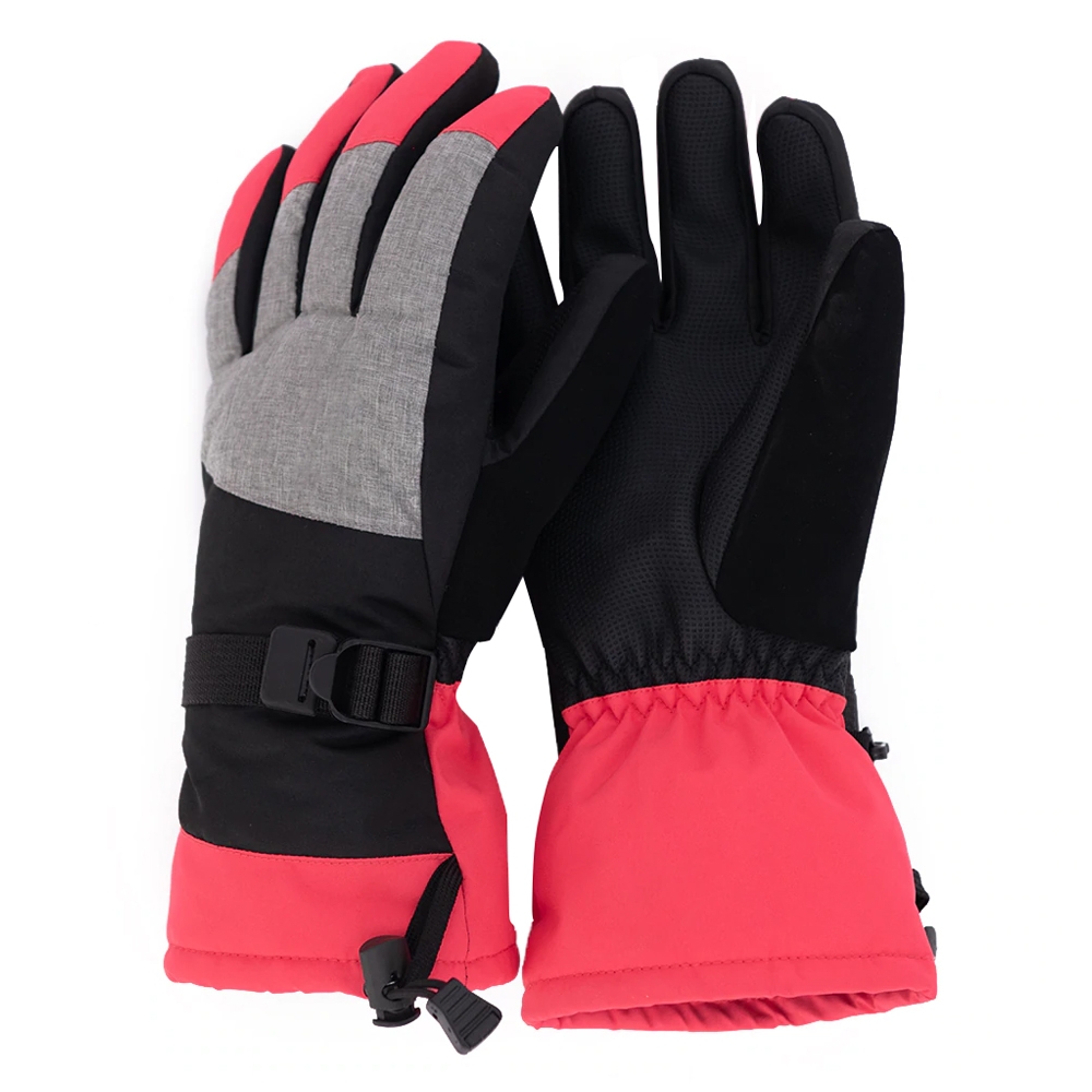 Ski Gloves