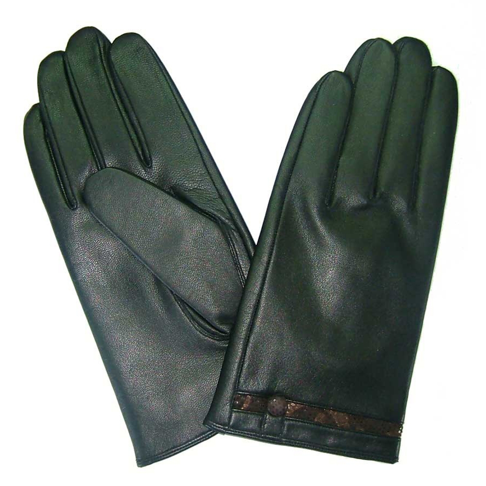 Dressing Gloves